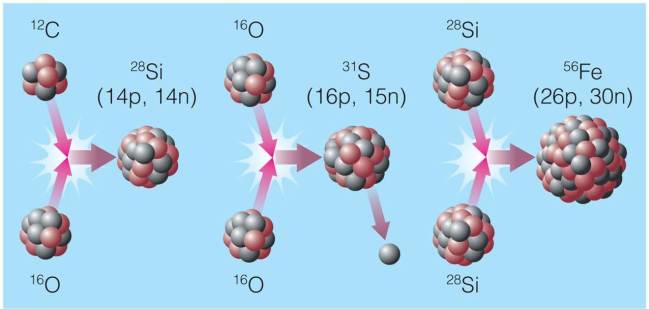 Examples of fusion of heavier elements, which takes place in more massive stars